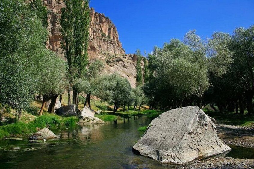 A river with rocks, trees, and a rocky cliff. 4