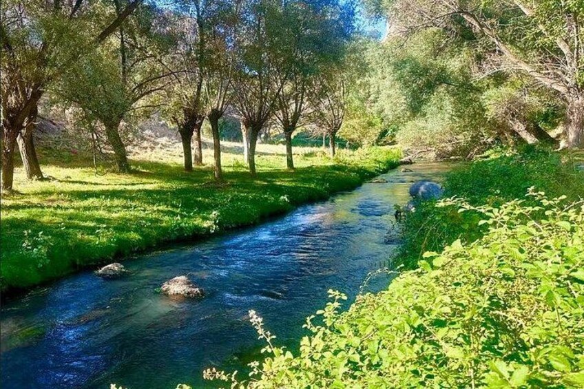 A river flowing through a green landscape with trees and rocks. 5
