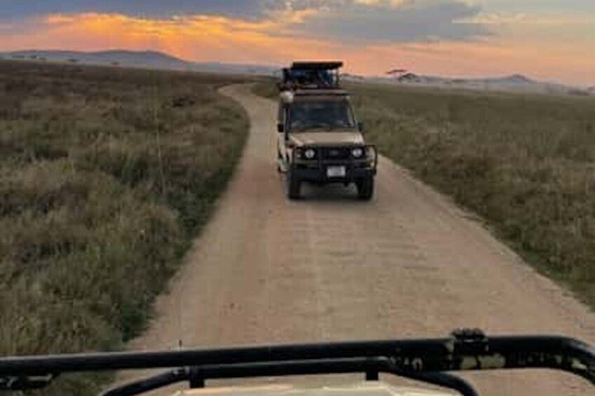5 Days 4 Night Serengeti National Park 4WD Tour Adventure 2