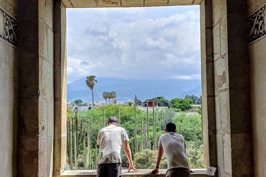 Two people standing in an open doorway looking out at a landscape with a mountain and palm trees. 5