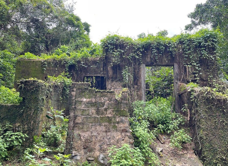 A dilapidated stone structure overgrown with vegetation, surrounded by dense forest. 4