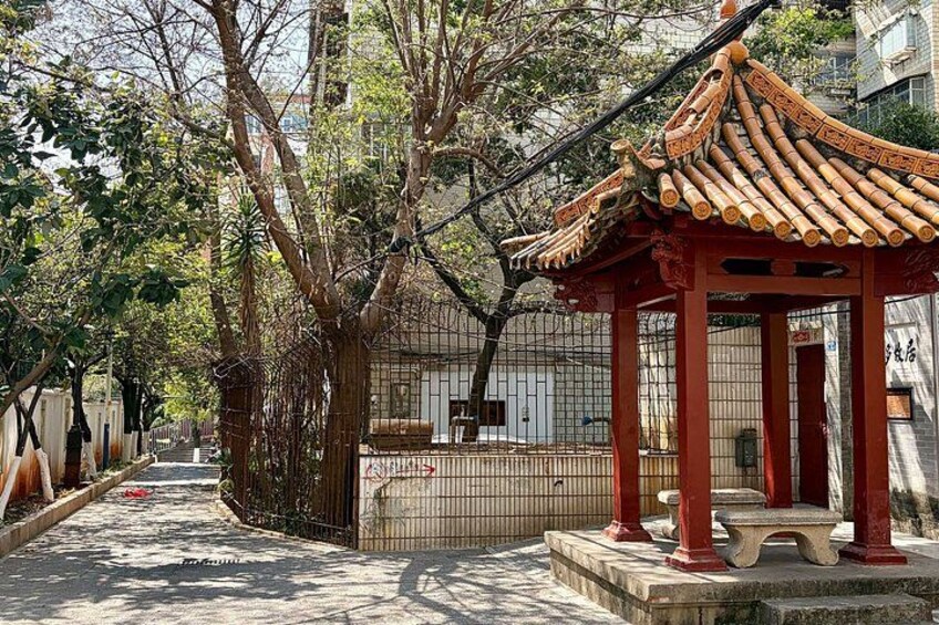 Kunming: Walking Tour Around Green Lake and University Quarter 5