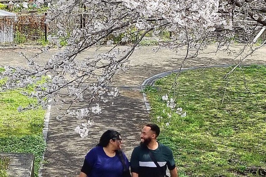 Two people standing on a pathway with cherry blossoms. 2