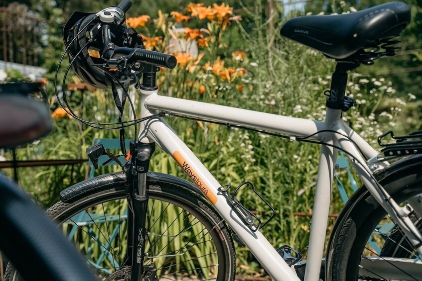 A white bicycle with 'WAYSLIS' branding, a black seat, and a rear rack. 5