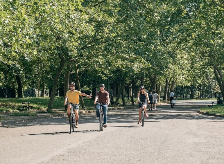 People riding bicycles on a tree-lined path in a park. 3