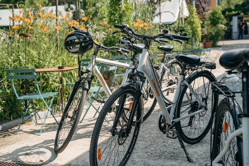 A bicycle parked next to a green bench in a garden with orange flowers. 4