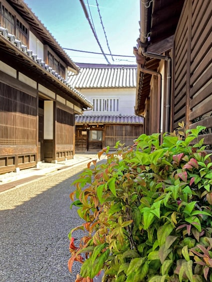 A traditional Japanese street with wooden buildings and a small plant in the foreground. 4