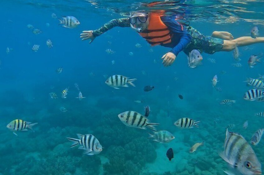 A person snorkeling underwater surrounded by fish. 2