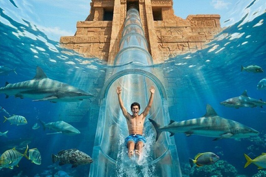 Atlantis Aquaventure Waterpark Experience 3