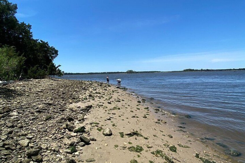 Shark Tooth Island Tour 2
