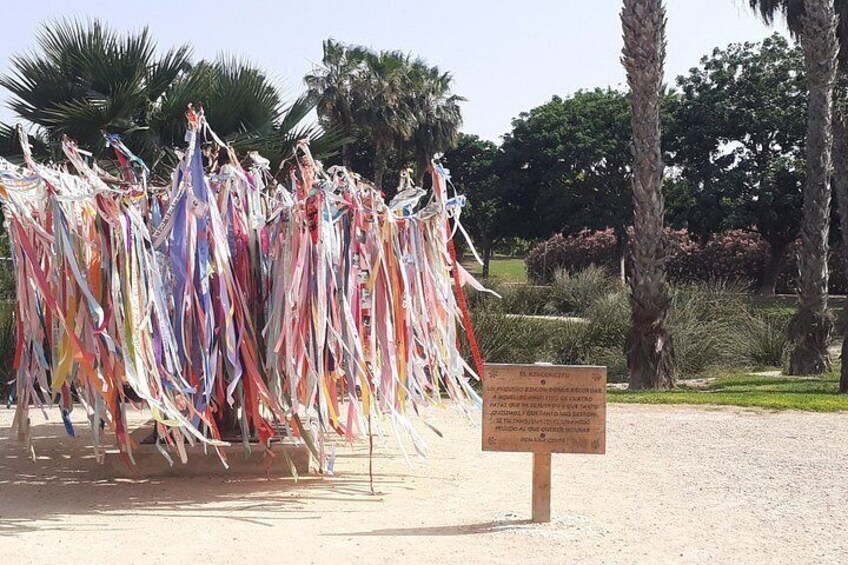 A collection of colorful flags, a sign, and palm trees in a landscaped area. 3