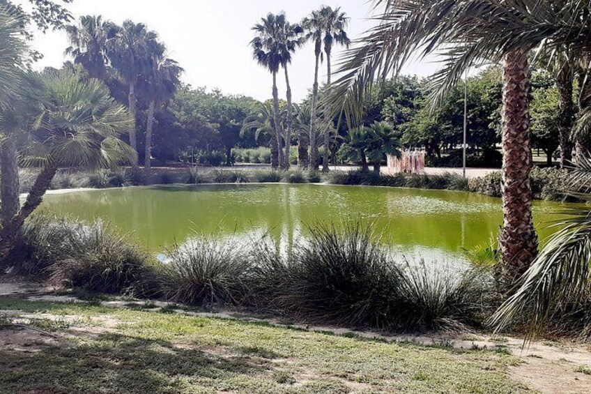 A pond surrounded by palm trees and grass. 2