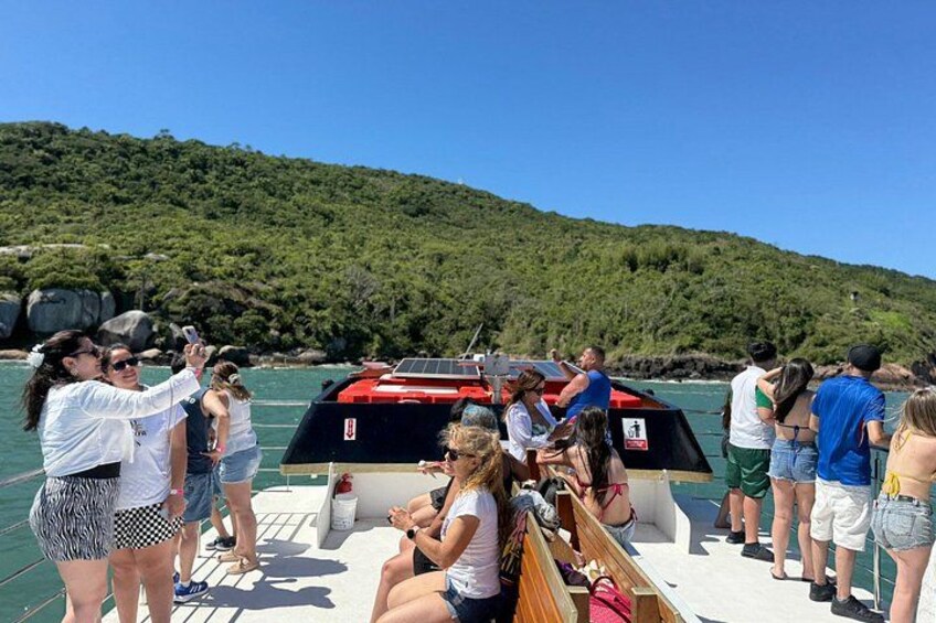 A group of people on a boat near a rocky shoreline with a forested hill in the background. 4