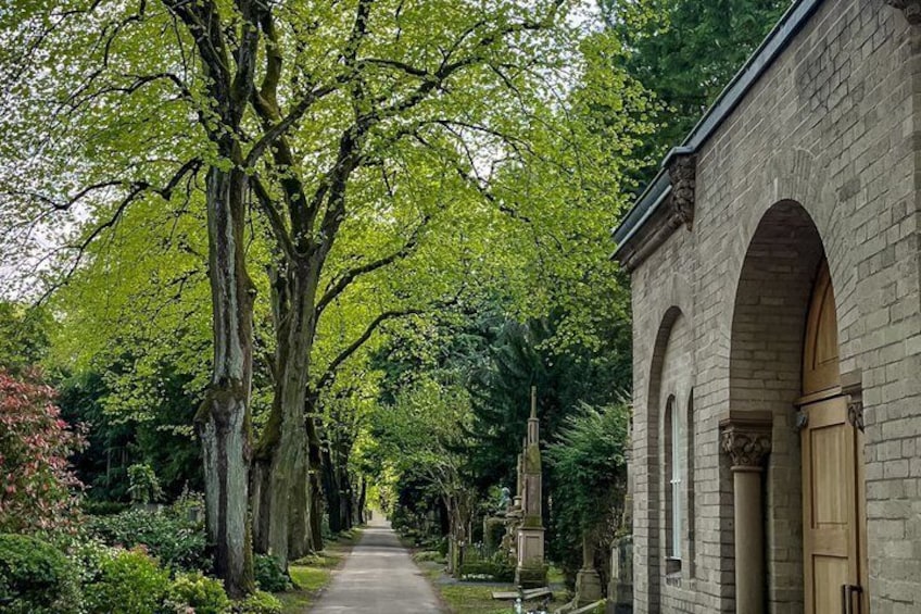 A tree-lined pathway leading to a stone building with arched windows. 4