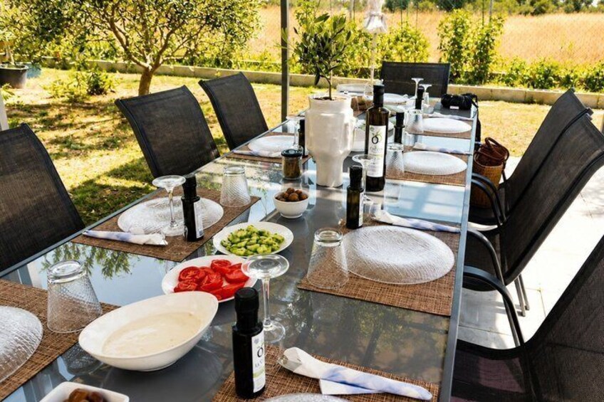 Olive Oil Seminar with Tasting in Metaggitsi Halkidiki 5