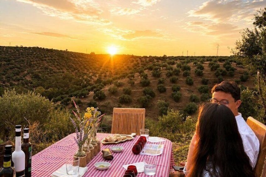 Exclusive Tasting of Olive Oil and Paella in Family Estate 3