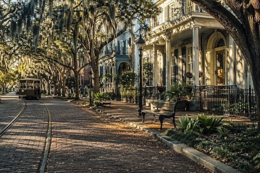 Savannah Self-Guided Discovery: Historic Squares & Southern Charm 4