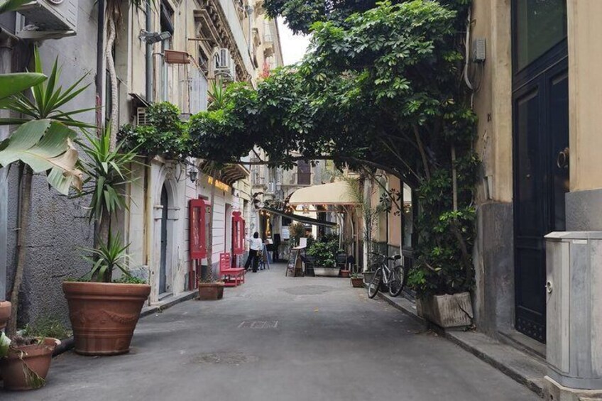 Catania Private Walking Tour with Local Guide, Wireless Headsets 2