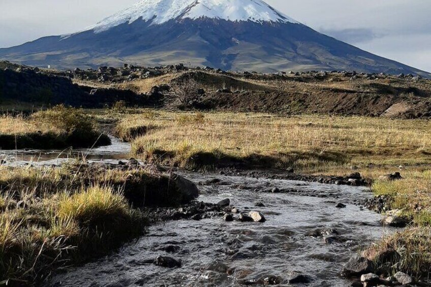 A river flowing through a grassy landscape with a snow-capped mountain in the background. 1