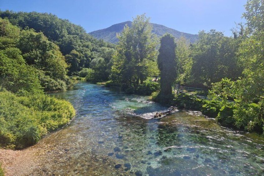 A clear river surrounded by dense greenery and a mountain in the background. 1