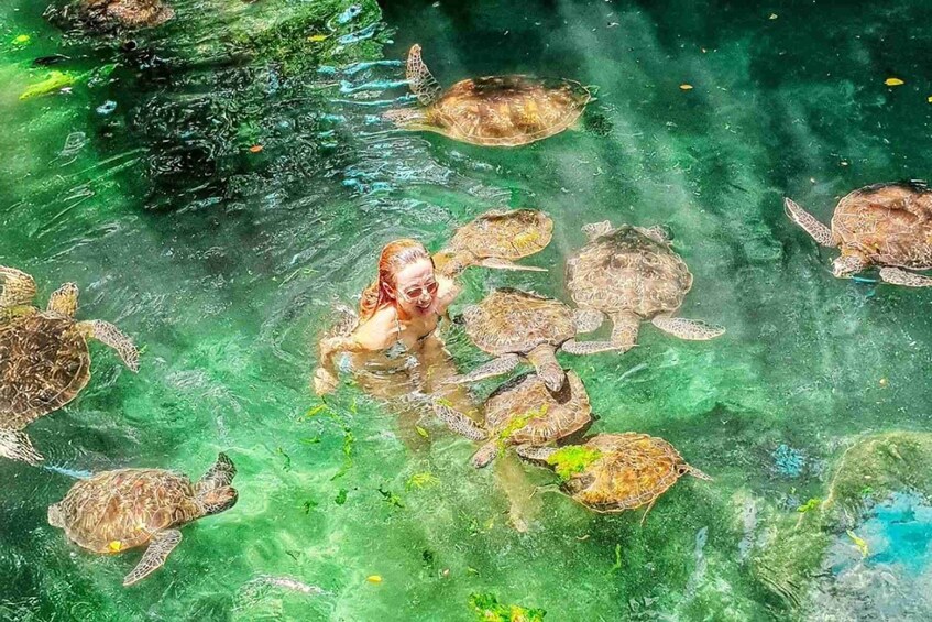 A person swimming with sea turtles in clear water. 4