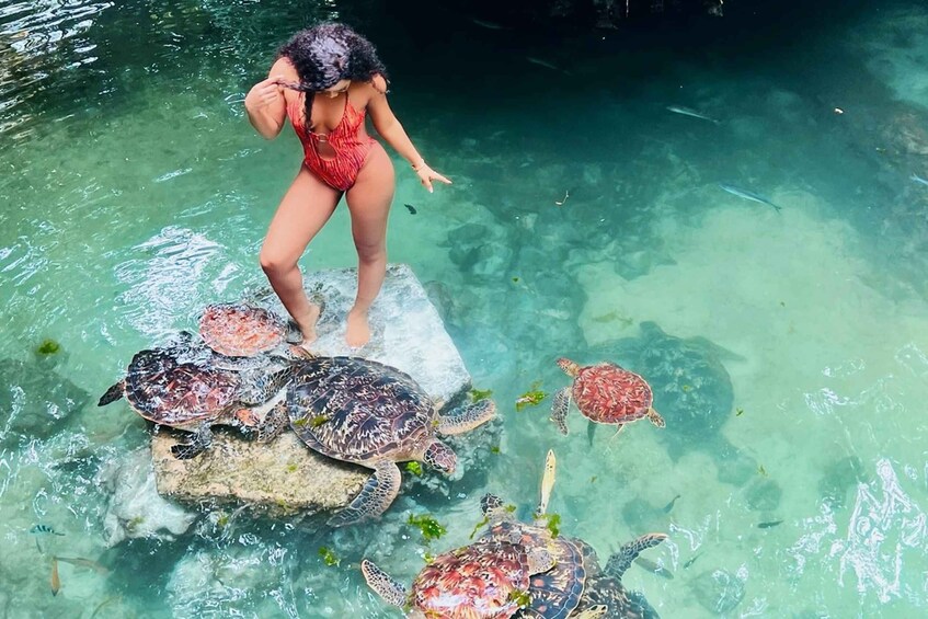 A person in a red swimsuit standing on a rock with sea turtles in clear water. 3