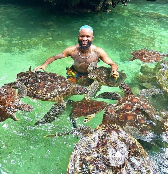 A man interacting with sea turtles in clear water. 2