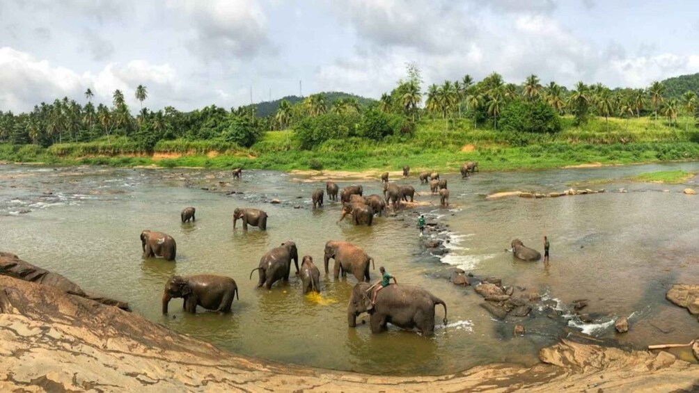 A river with elephants bathing in the water. 4