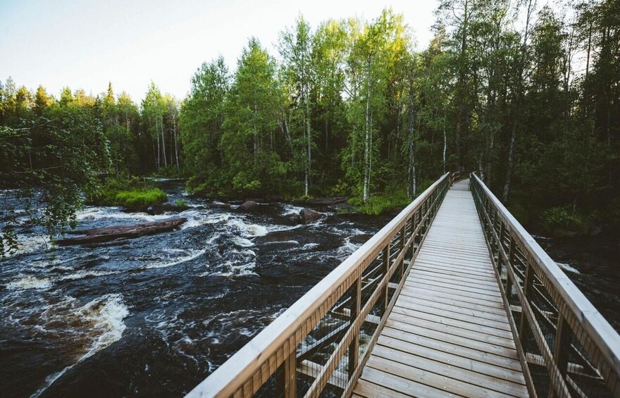 A wooden bridge over a fast-flowing river surrounded by dense forest. 1