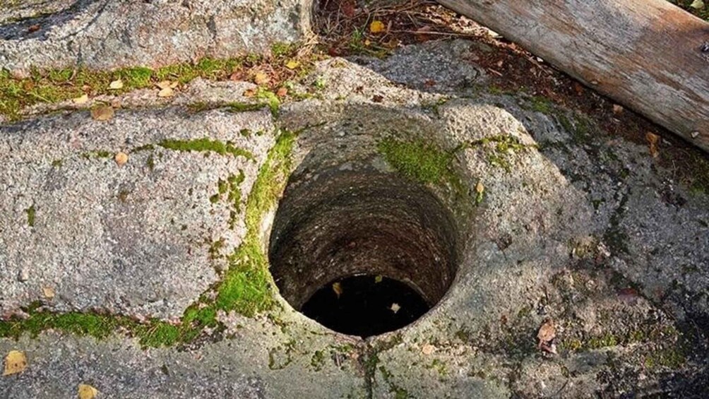 A stone structure with a circular opening, surrounded by moss and fallen leaves. 5