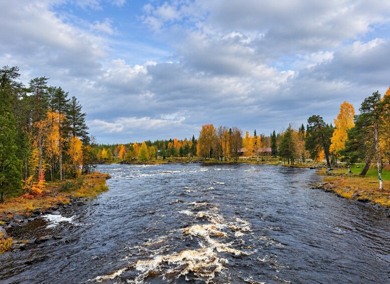 Picture 36 for Activity Rovaniemi: Nature Tour with Local BBQ & HD Photos 2