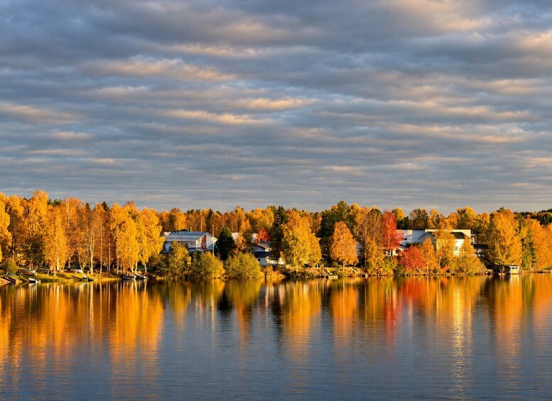 Picture 35 for Activity Rovaniemi: Nature Tour with Local BBQ & HD Photos 4