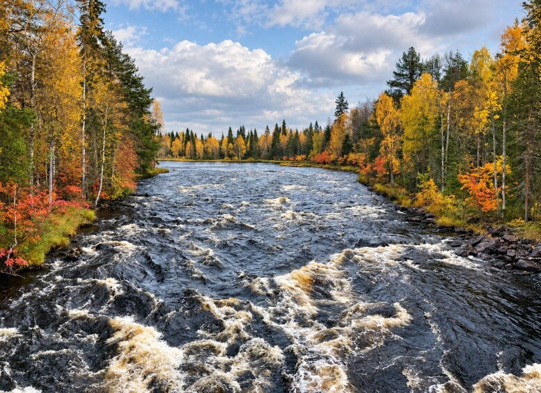 Picture 37 for Activity Rovaniemi: Nature Tour with Local BBQ & HD Photos 5