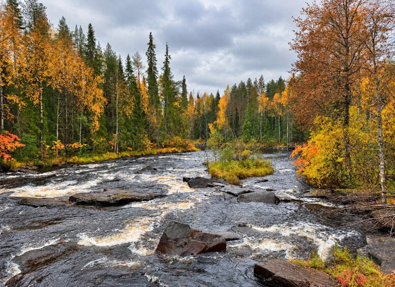 Picture 22 for Activity Rovaniemi: Nature Tour with Local BBQ & HD Photos 3