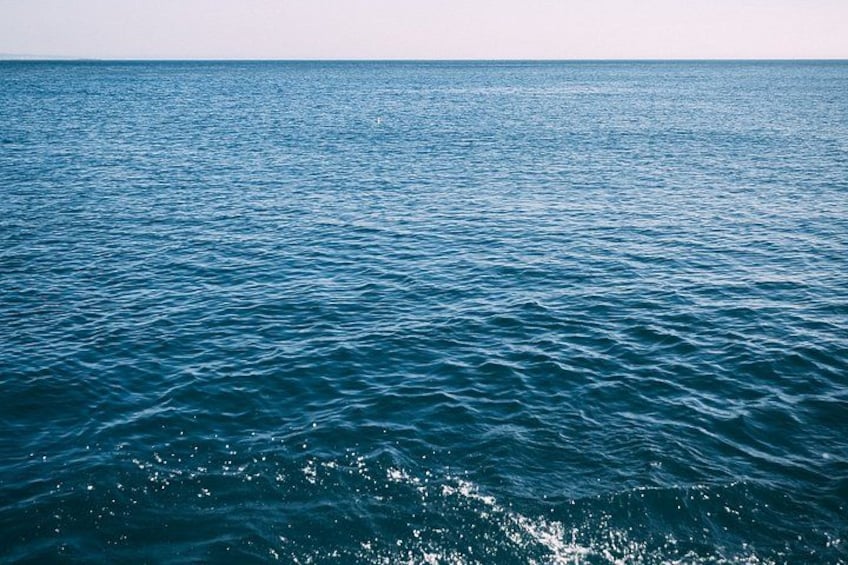 A vast expanse of ocean with gentle waves and a clear horizon. 4