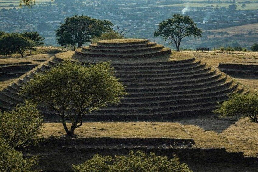 Terraced fields with trees and a distant view of a town. 4