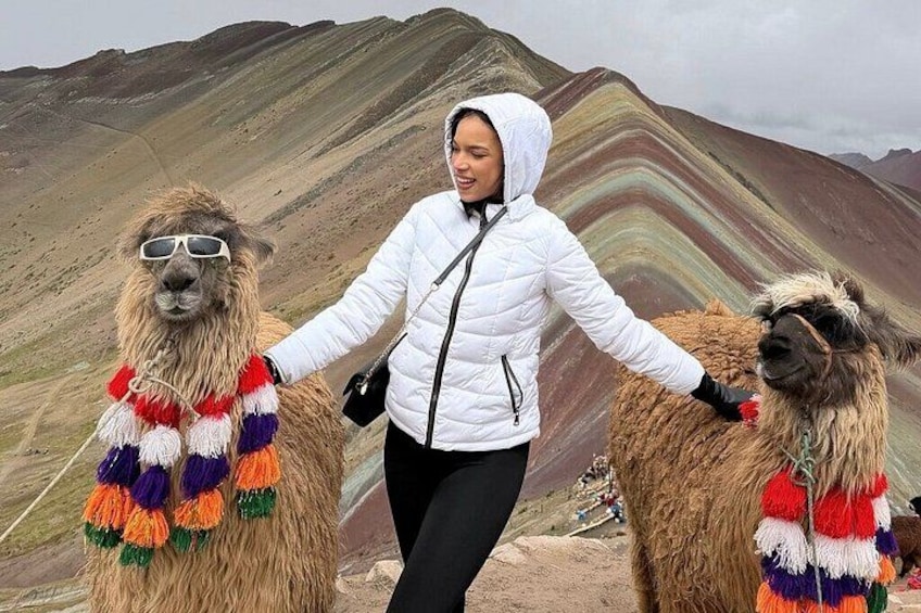 A person with two llamas in a mountainous area. 4