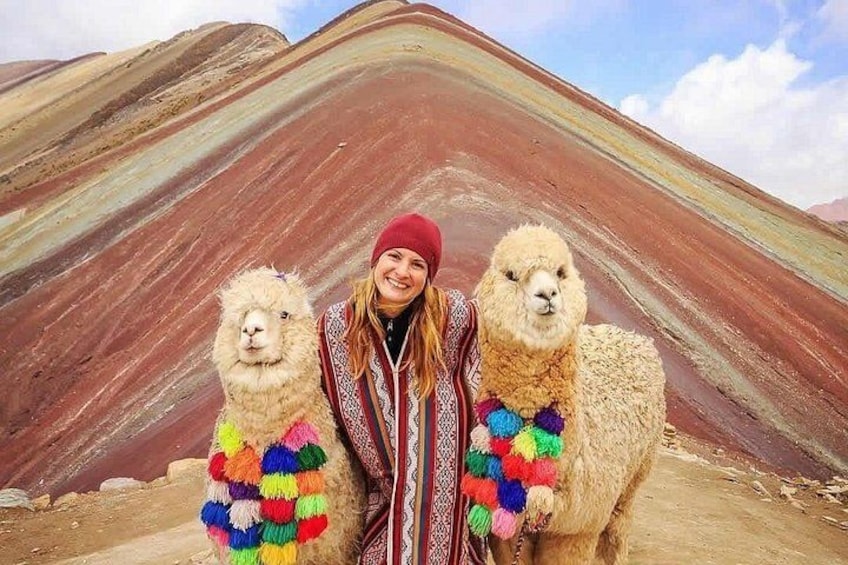 A person with two llamas in a colorful landscape with layered rock formations. 1