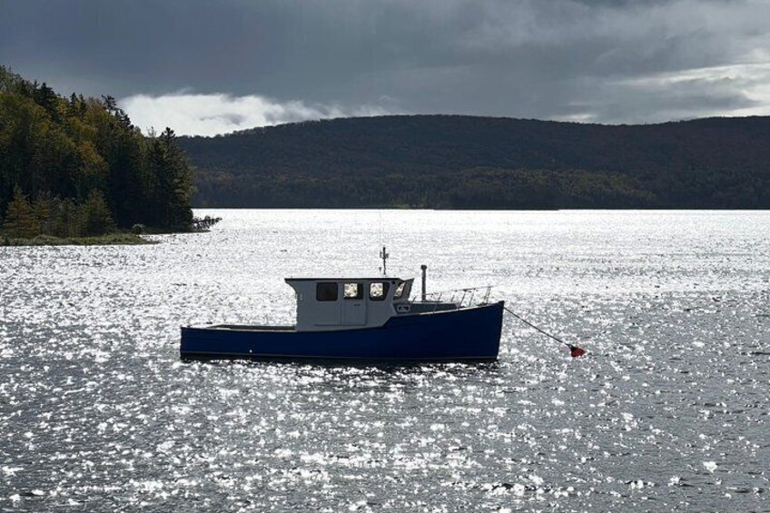 A blue boat anchored on a calm lake with a forested shoreline and mountains in the background. 4