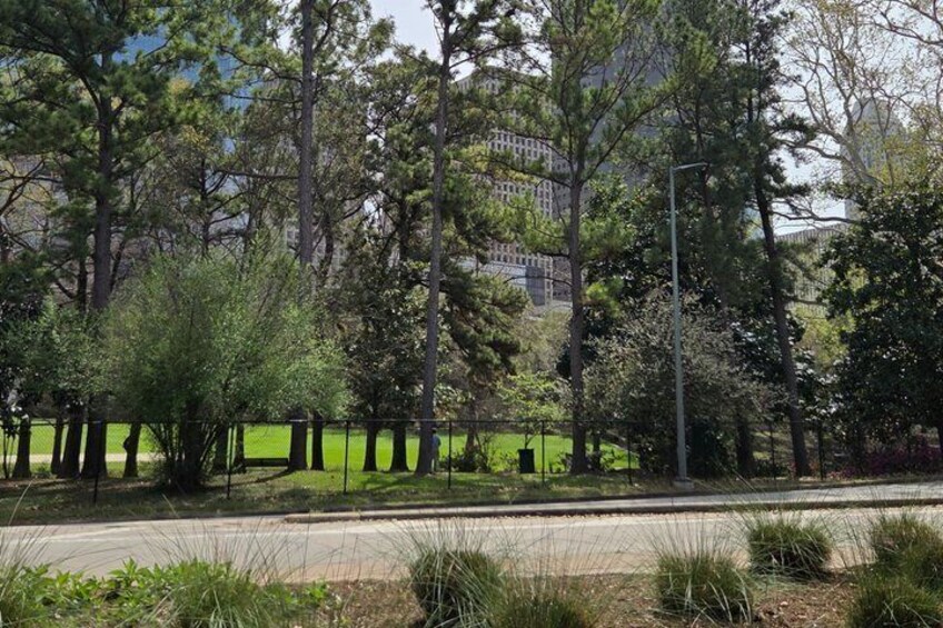 A park with tall trees, a paved path, and a building in the background. 2