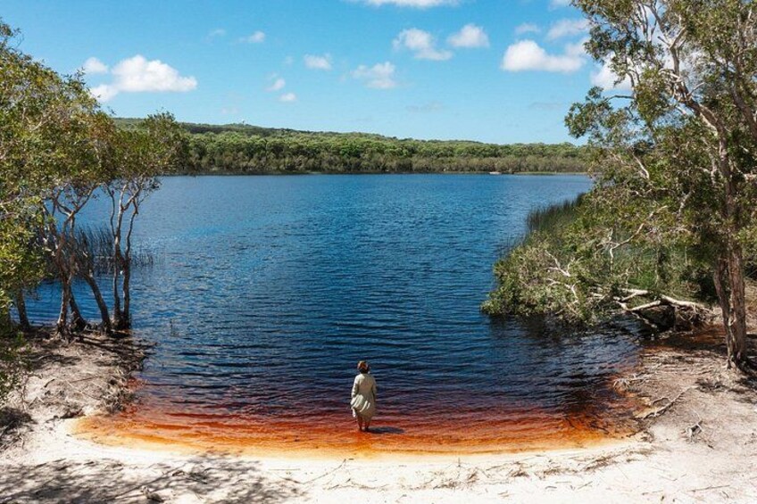 A person standing by a calm lake surrounded by trees. 3