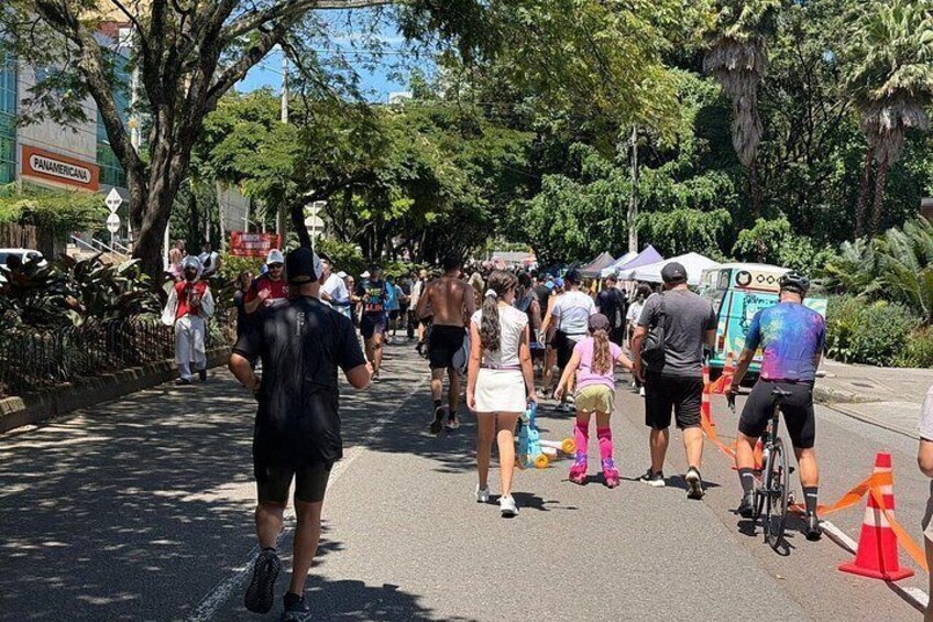 A street lined with trees and people walking, some with bicycles. 4