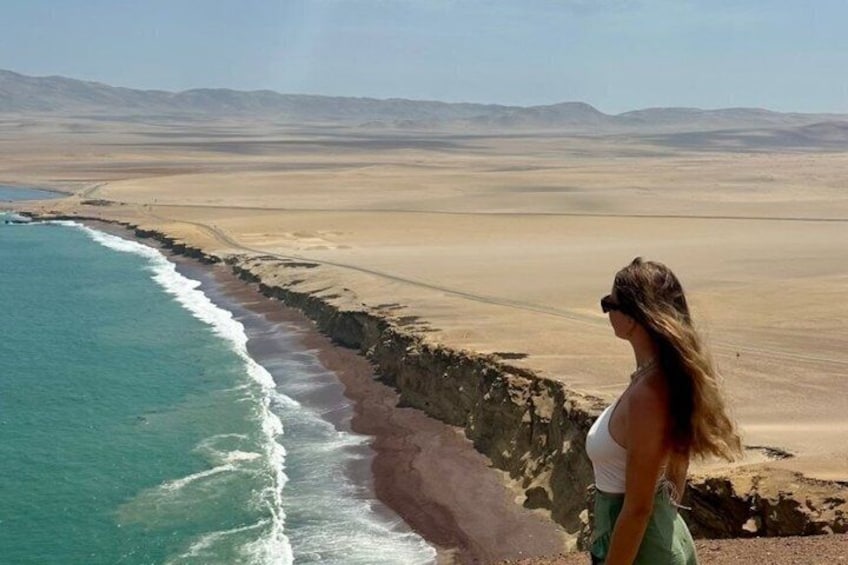 A person overlooking a coastal landscape with a beach, ocean, and desert in the background. 1