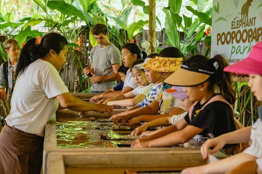 Chiang Mai Eco Tourism Elephant Poop Paper Creative Experience 1