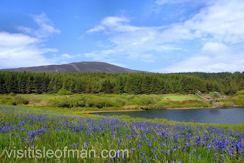 Southern Explorer Isle of Man 2