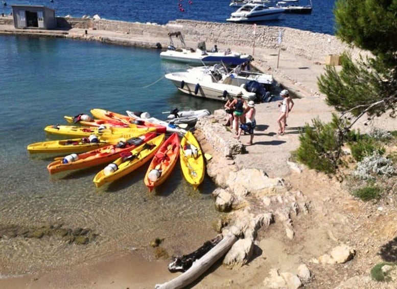 A coastal scene with kayaks lined up on the shore, a small building, and boats in the water. 5