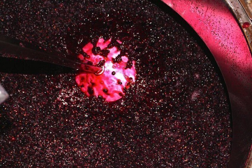 Château Grangey Visit and tasting in the heart of the vineyard 2
