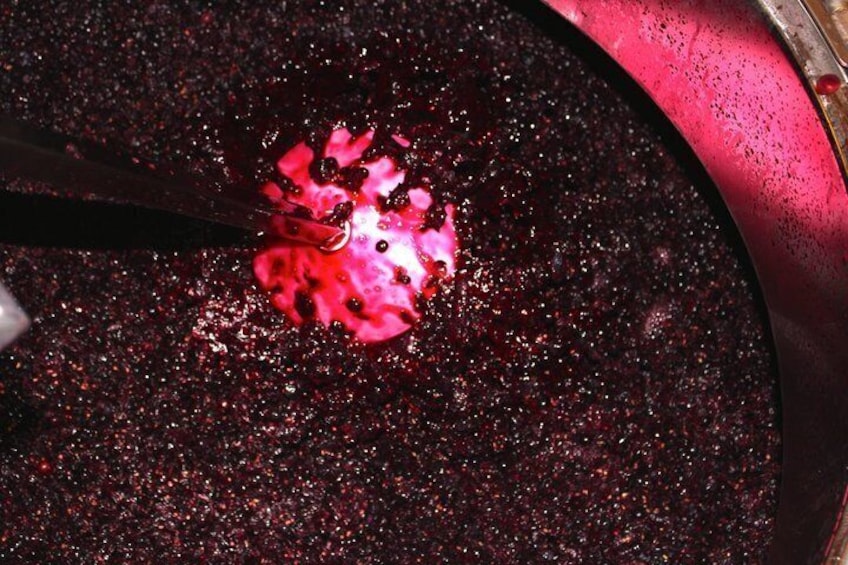 A close-up of a red object with black specks, possibly a piece of fruit or candy, on a dark surface with a metallic edge. 2