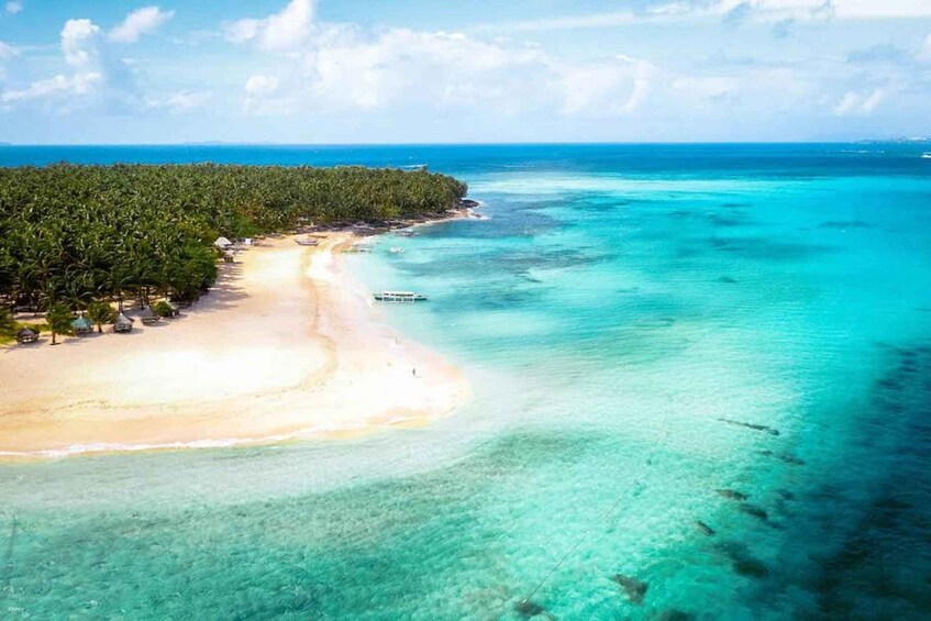 A tropical beach with clear turquoise waters, a sandy shore, and a dense forested area. 3