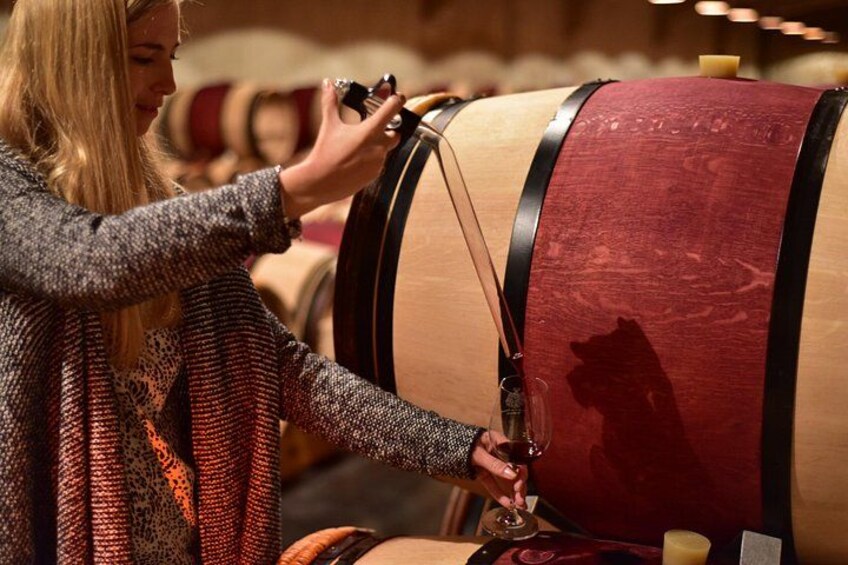 Private Tour on the Route des Grands Vins du Médoc with Visits and Tastings 5